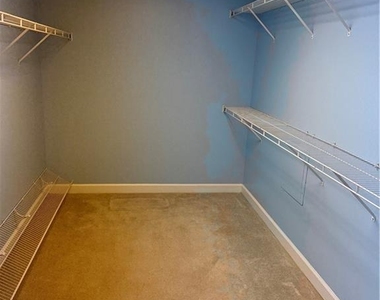 1120 Lewis Ridge Circle - Photo Thumbnail 4