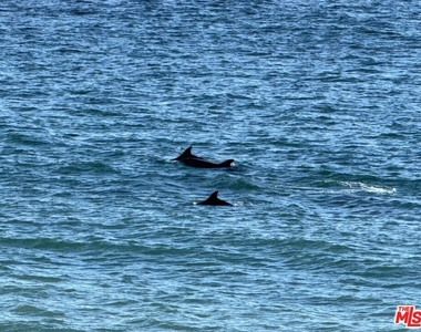 25302 Malibu Road - Photo Thumbnail 37