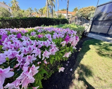 12973 Caminito Pointe Del Mar - Photo Thumbnail 65