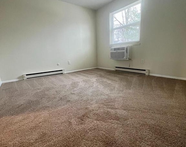 100 E Mt Vernon Unit 1 - Photo Thumbnail 7