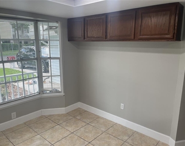 1003 W Horatio Street - Photo Thumbnail 6