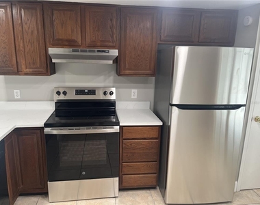 1003 W Horatio Street - Photo Thumbnail 5