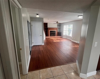 1003 W Horatio Street - Photo Thumbnail 8