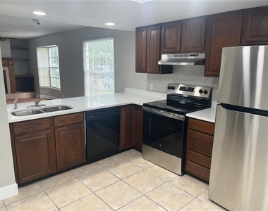 1003 W Horatio Street - Photo Thumbnail 4