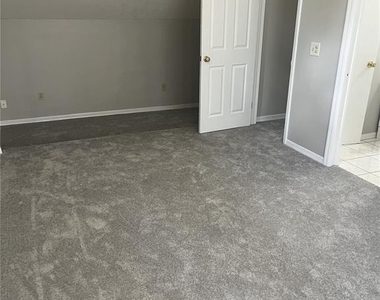 1003 W Horatio Street - Photo Thumbnail 20