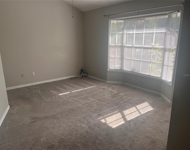 1003 W Horatio Street - Photo Thumbnail 14