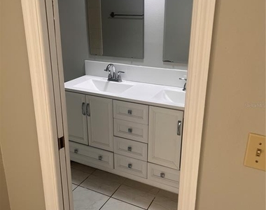 1003 W Horatio Street - Photo Thumbnail 18