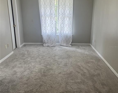 1003 W Horatio Street - Photo Thumbnail 22