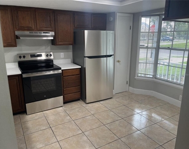 1003 W Horatio Street - Photo Thumbnail 3