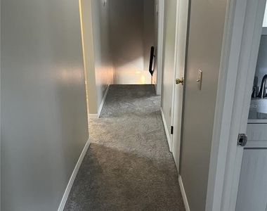 1003 W Horatio Street - Photo Thumbnail 26