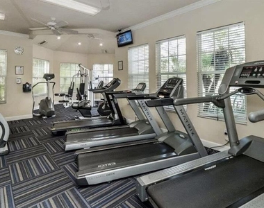 8103 Coconut Palm Way - Photo Thumbnail 26