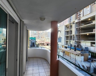 7 Earle Street - Photo Thumbnail 4