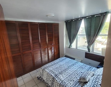 7 Earle Street - Photo Thumbnail 5