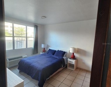 7 Earle Street - Photo Thumbnail 6