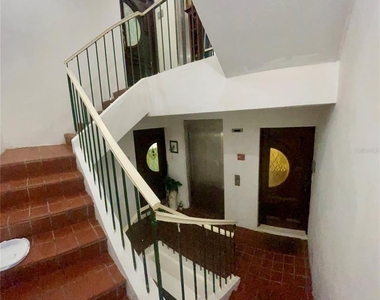 7 Earle Street - Photo Thumbnail 1