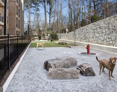6919 Peachtree Dunwo Road - Photo Thumbnail 40