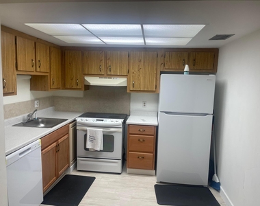 4259 Oak Terrace Drive - Photo Thumbnail 3