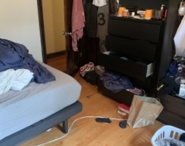 25 Winchester St - Photo Thumbnail 22