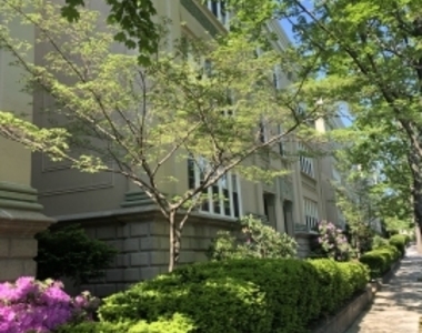 50 Egmont St - Photo Thumbnail 9