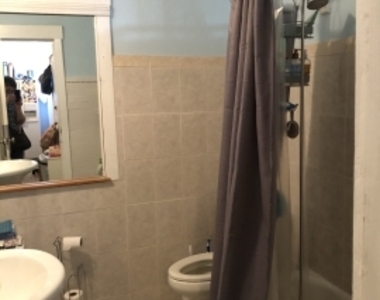 50 Egmont St - Photo Thumbnail 6