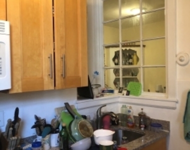 50 Egmont St - Photo Thumbnail 10