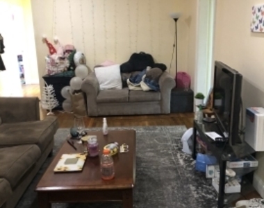 50 Egmont St - Photo Thumbnail 11