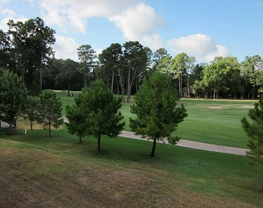 16020 Fountainview Drive - Photo Thumbnail 20