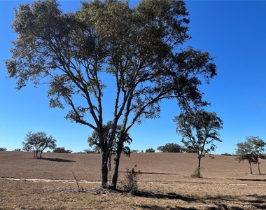 6920 Sw 209th Avenue - Photo Thumbnail 19