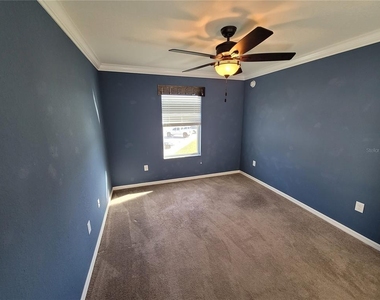 27542 Desert Willow Way - Photo Thumbnail 20