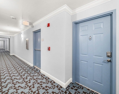 255 Evernia Street - Photo Thumbnail 26
