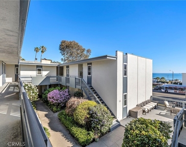 245 Aster - Photo Thumbnail 20