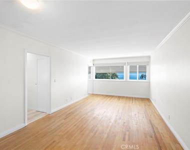 245 Aster - Photo Thumbnail 5