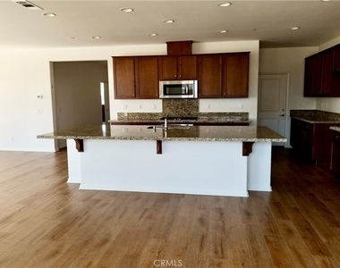 3058 Shorthorn - Photo Thumbnail 1