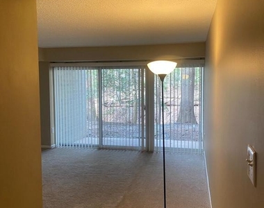 11723 Karbon Hill Court - Photo Thumbnail 5