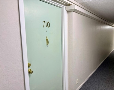 255 Dolphin Point - Photo Thumbnail 2