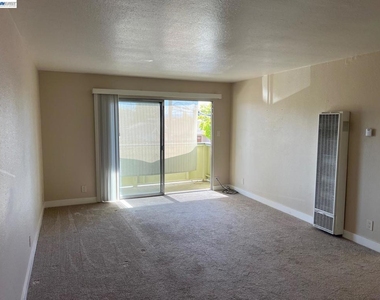 36976 Mulberry St - Photo Thumbnail 16