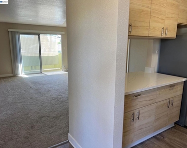 36976 Mulberry St - Photo Thumbnail 9