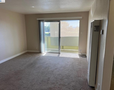 36976 Mulberry St - Photo Thumbnail 18