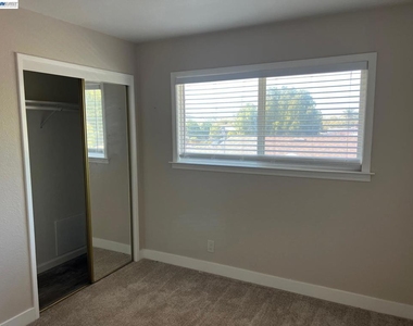 36976 Mulberry St - Photo Thumbnail 29