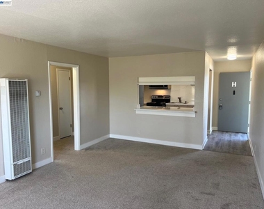 36976 Mulberry St - Photo Thumbnail 11