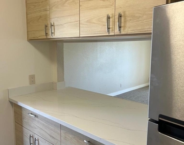 36976 Mulberry St - Photo Thumbnail 6