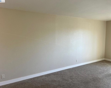 36976 Mulberry St - Photo Thumbnail 19