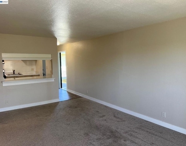 36976 Mulberry St - Photo Thumbnail 14