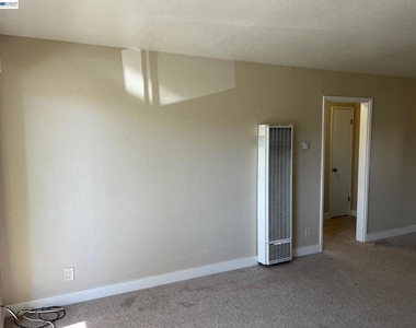 36976 Mulberry St - Photo Thumbnail 13