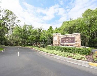 15843 Fishhawk View Drive - Photo Thumbnail 28