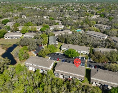 15843 Fishhawk View Drive - Photo Thumbnail 33