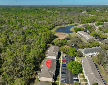 15843 Fishhawk View Drive - Photo Thumbnail 32