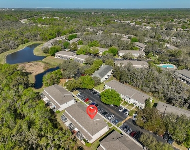 15843 Fishhawk View Drive - Photo Thumbnail 31