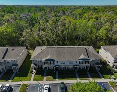 15843 Fishhawk View Drive - Photo Thumbnail 29