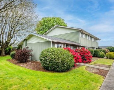 804 Chestnut Dr - Photo Thumbnail 5